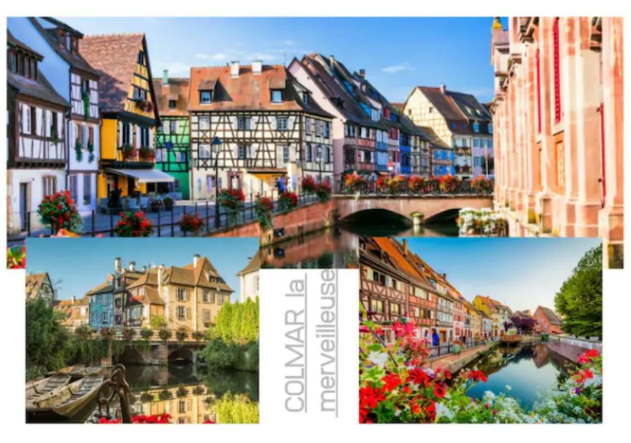 Colmar Appt familial à 3 min du centre - parking gratuit - Une chambre et 5 pers Extérieur photo